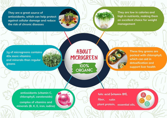 Growing Market 🌱 - ArtOm_farm™ MICROGREENS