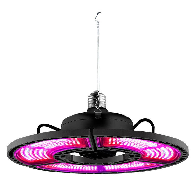 អំពូល LED លូតលាស់ជាមួយវិសាលគមក្រហមនិងខៀវ