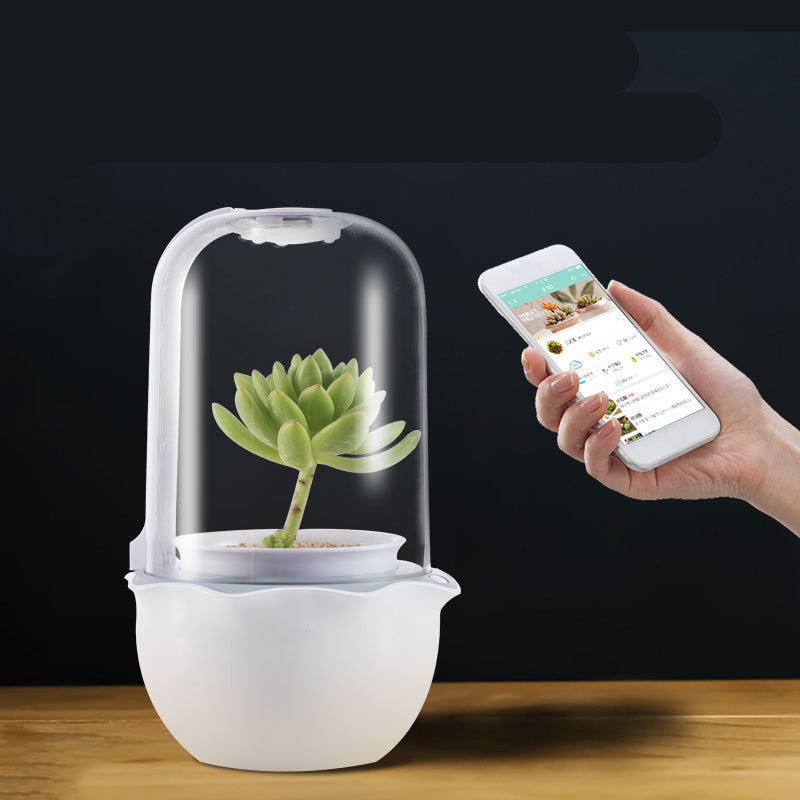 Cute and Creative Desktop Smart Plant Pot: Decorate Your Desk with Greenery! - ArtOm_farm™ MICROGREENS