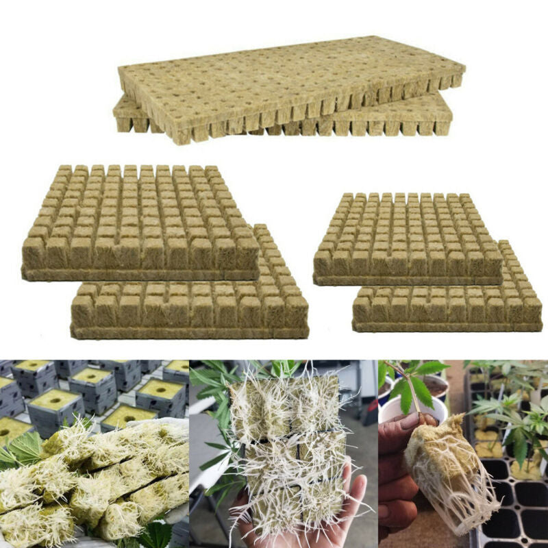 Horticultural products 25*25*40mm - ArtOm_farm™ MICROGREENS