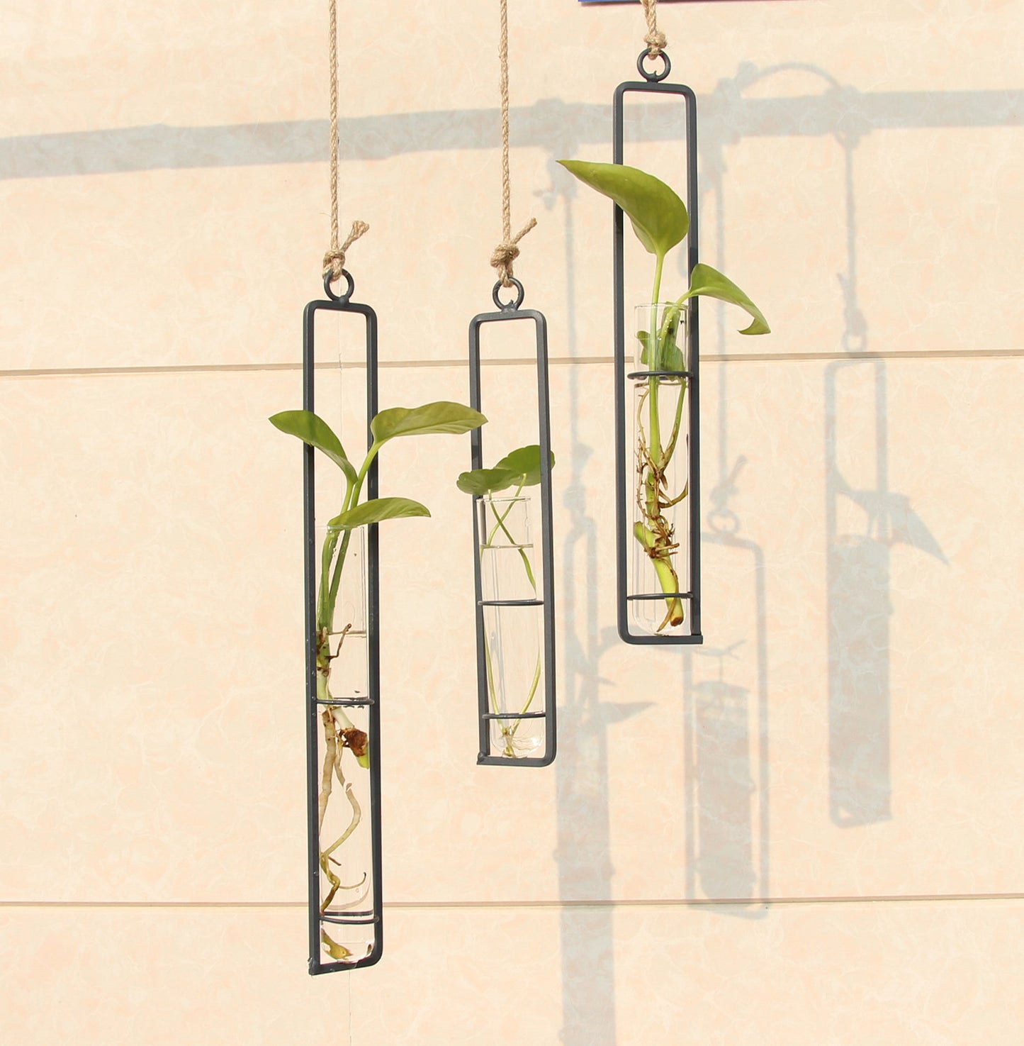 Wrought Iron Glass Hydroponic Vase - ArtOm_farm™ MICROGREENS