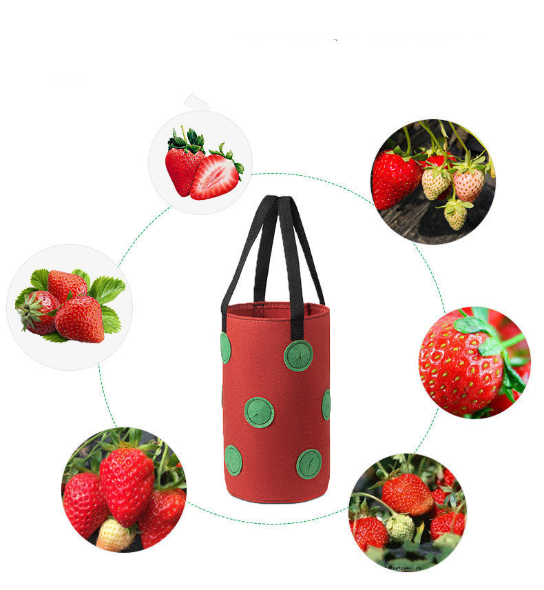 Strawberry Grow Bag Nonwoven Fabric Vertical Jardin Garden Hanging Plant Bag Vegetable Potato Planter Bag For Greenhouse - ArtOm_farm™ MICROGREENS
