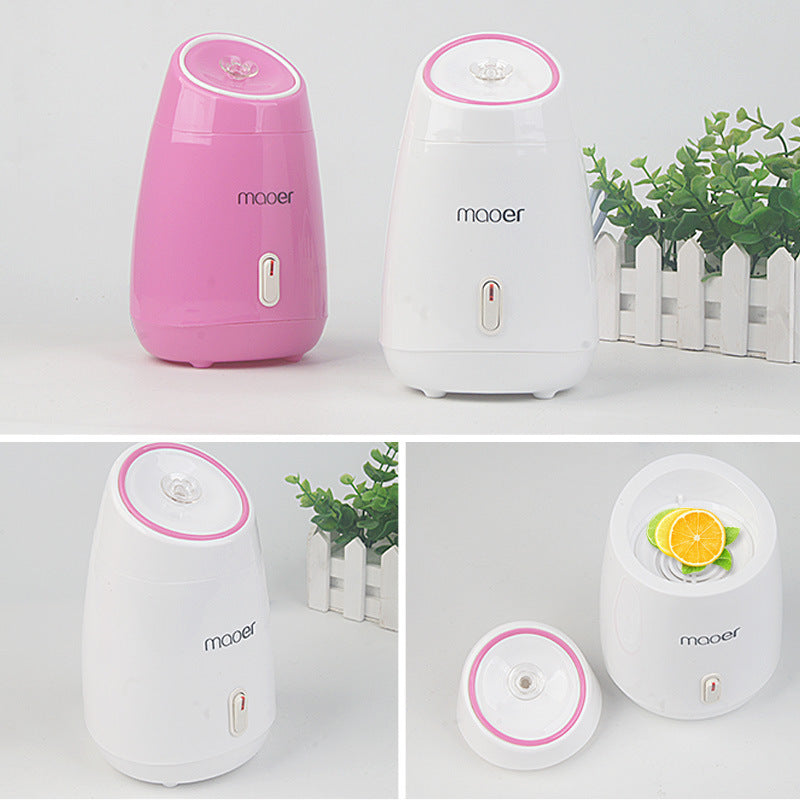 Maoer Fruit And Vegetable Face Steamer Hot Spray Home - ArtOm_farm™ MICROGREENS