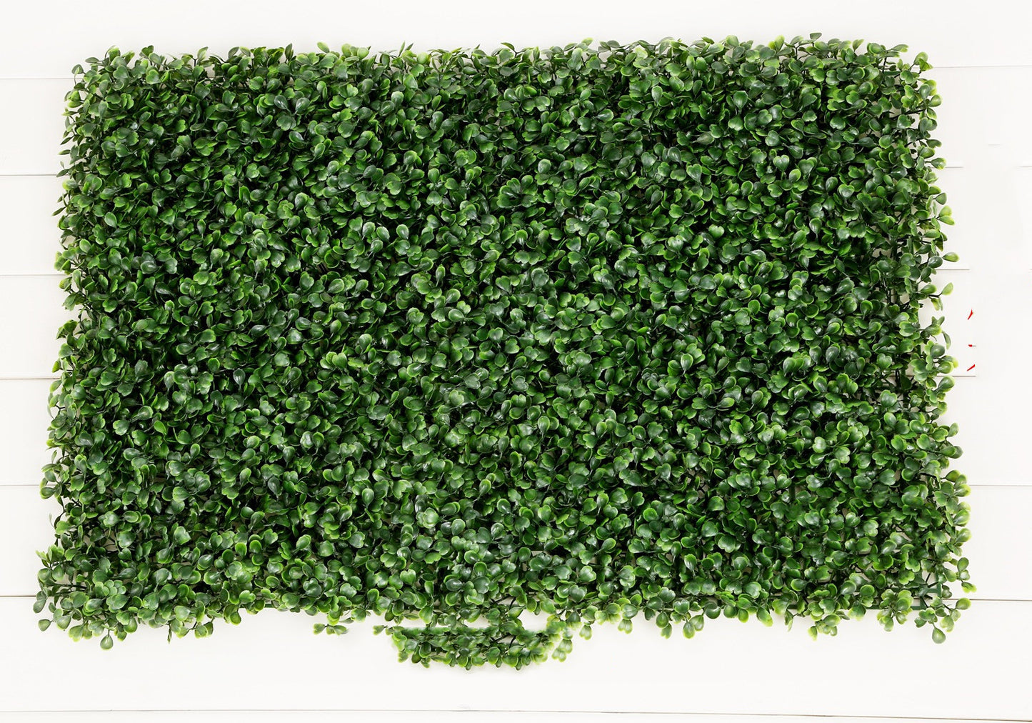 Simulation Plant Wall Decoration - ArtOm_farm™ MICROGREENS