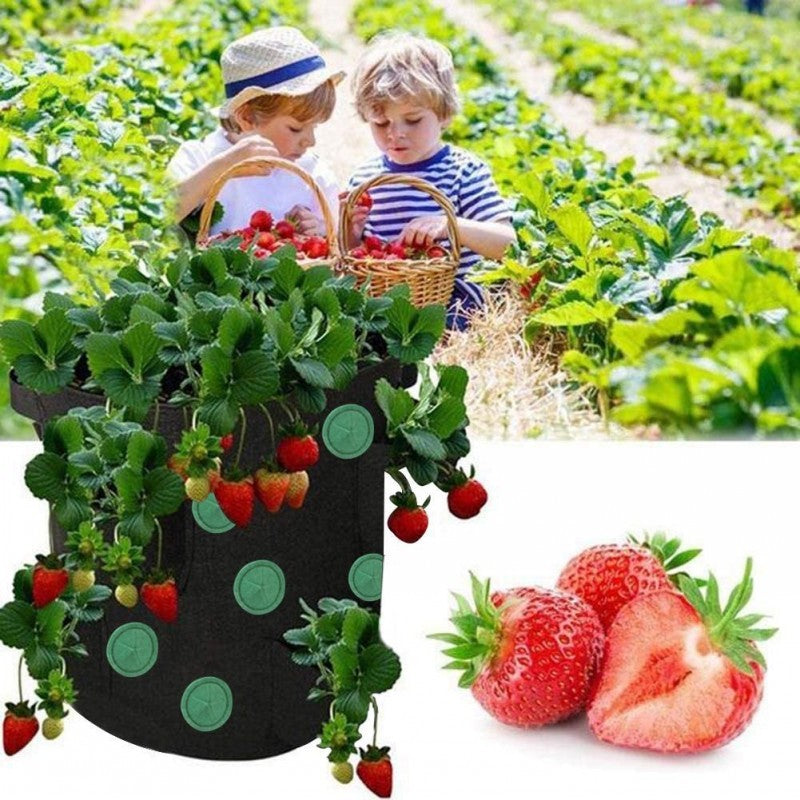 Strawberry Grow Bag Nonwoven Fabric Vertical Jardin Garden Hanging Plant Bag Vegetable Potato Planter Bag For Greenhouse - ArtOm_farm™ MICROGREENS