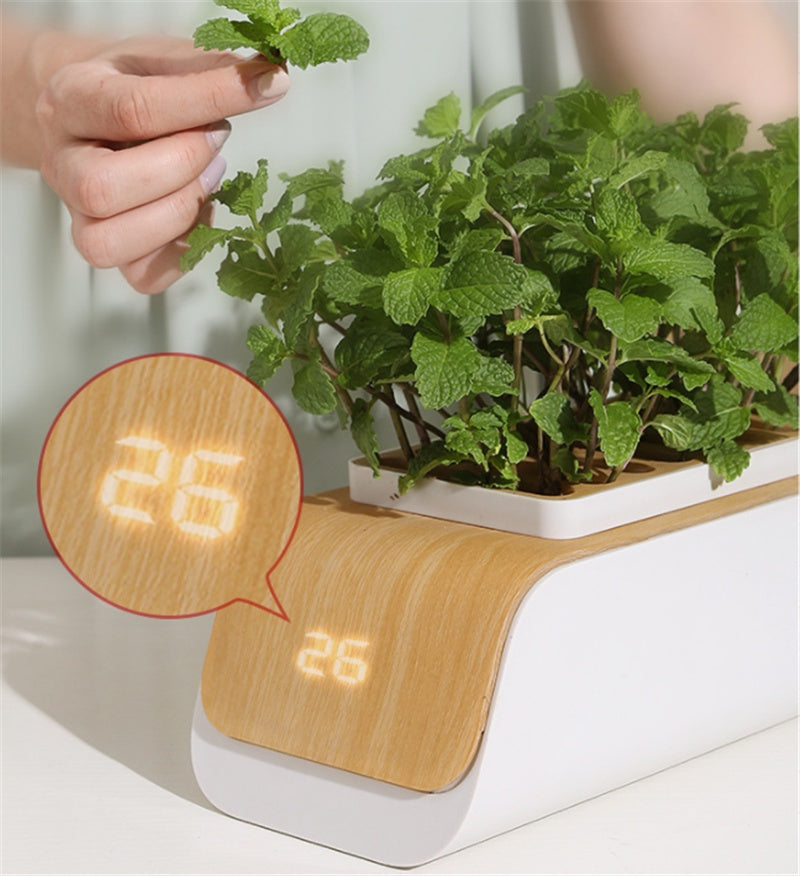 Desk Lamp Hydroponic Indoor Herb Garden Kit - ArtOm_farm™ MICROGREENS