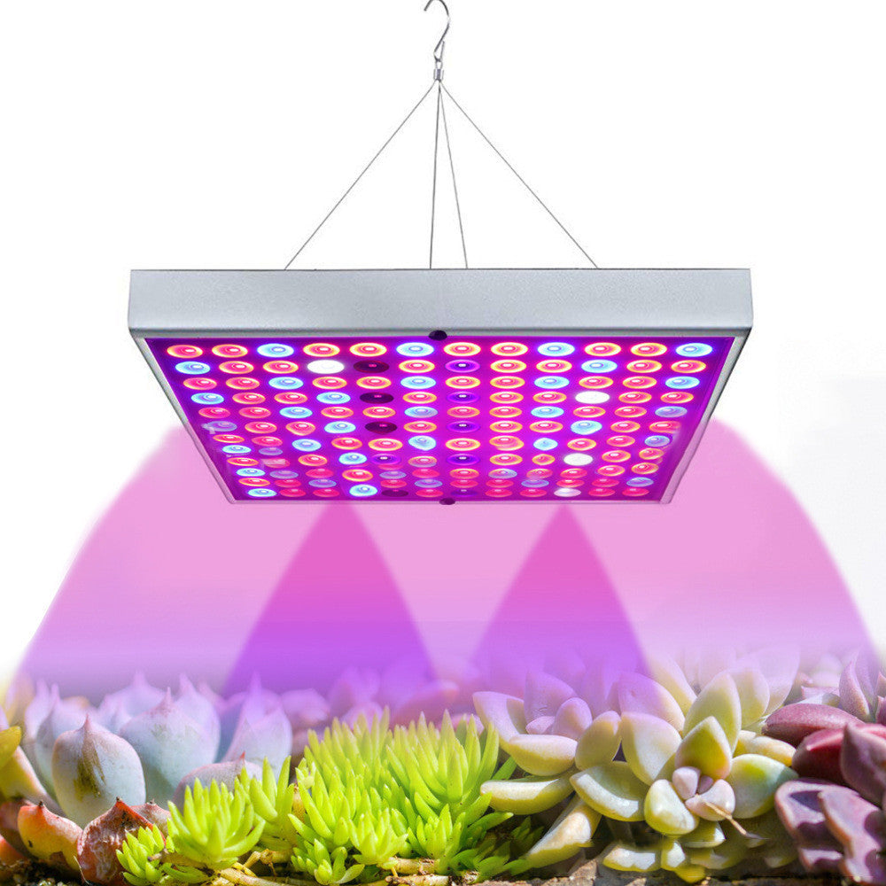 LED Plant Supplement Light For Growing Seedlings In Greenhouses - ArtOm_farm™ MICROGREENS