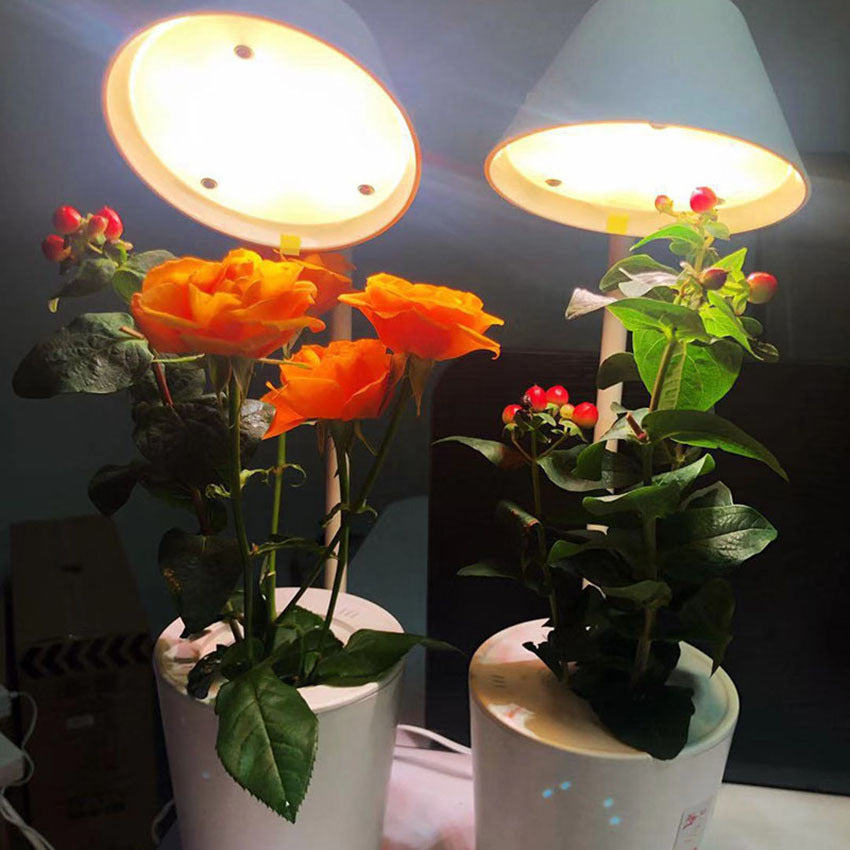 Soilless cultivation plant growth machine - ArtOm_farm™ MICROGREENS