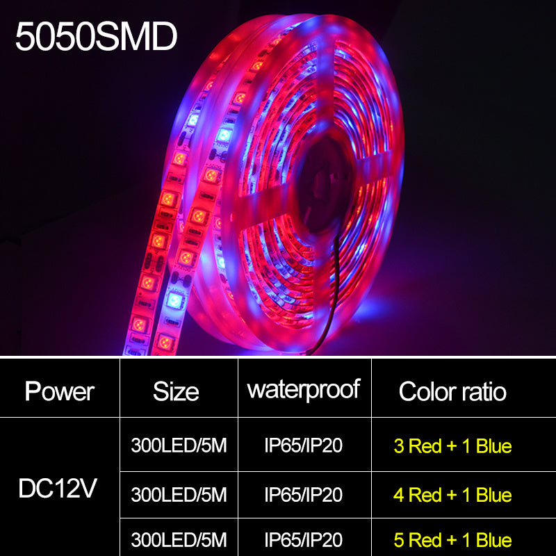 5050 LED Grow Light 5m: Soft Light for Your Garden! - ArtOm_farm™ MICROGREENS