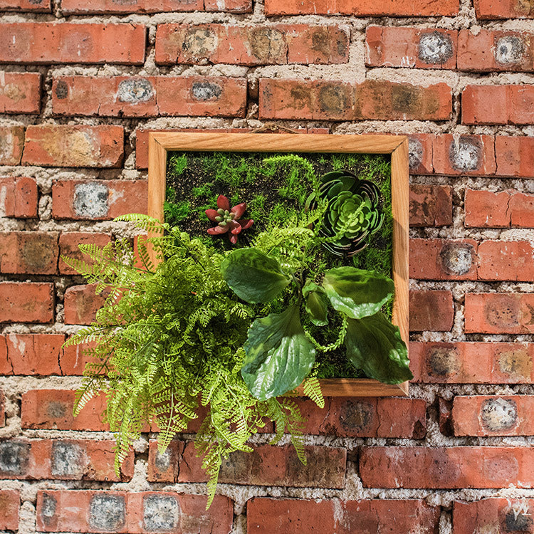 Simulation Green Frame Succulent Combination Plant Background Wall - ArtOm_farm™ MICROGREENS