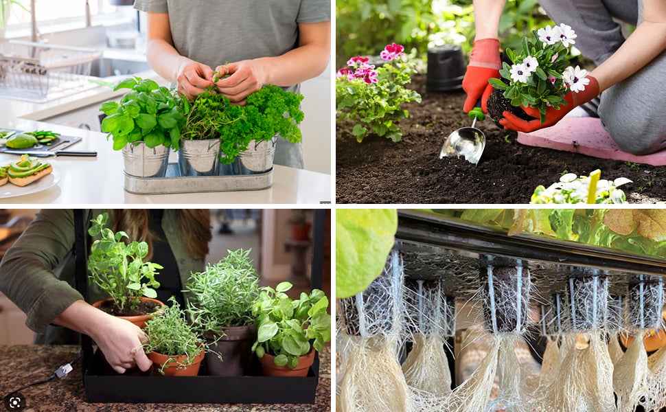 500ml Hydroponic Nutrients A&B for Plant Food Growth - Fertilizer for Indoor Hydroponics Garden & Growing Vegetables, Fruits, Flowers