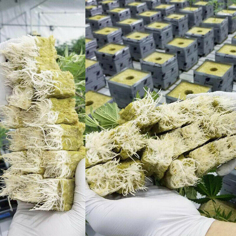 Horticultural products 25*25*40mm - ArtOm_farm™ MICROGREENS