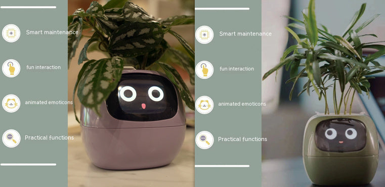 Smart Planter Solutions for Effortless Indoor Gardening