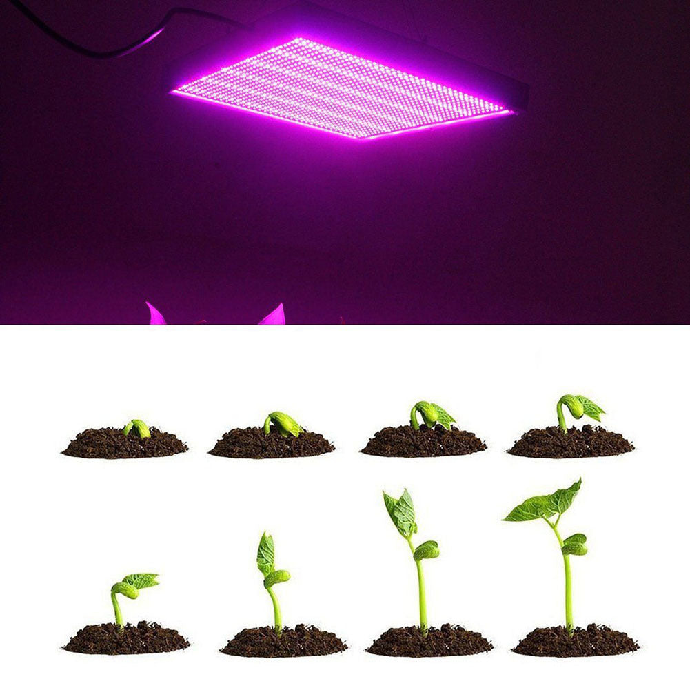 Plant growth light - ArtOm_farm™ MICROGREENS