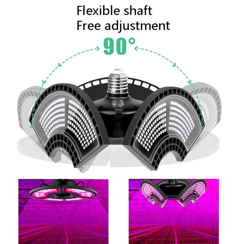 អំពូល LED លូតលាស់ជាមួយវិសាលគមក្រហមនិងខៀវ