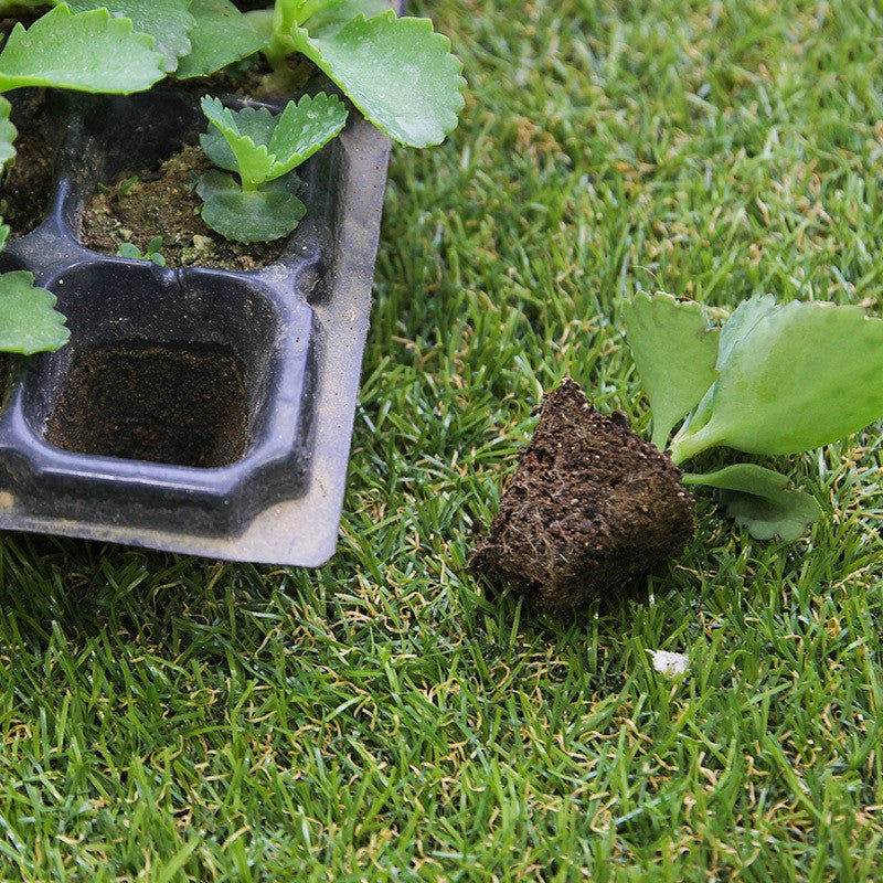 Non-woven Seedling Tray - ArtOm_farm™ MICROGREENS