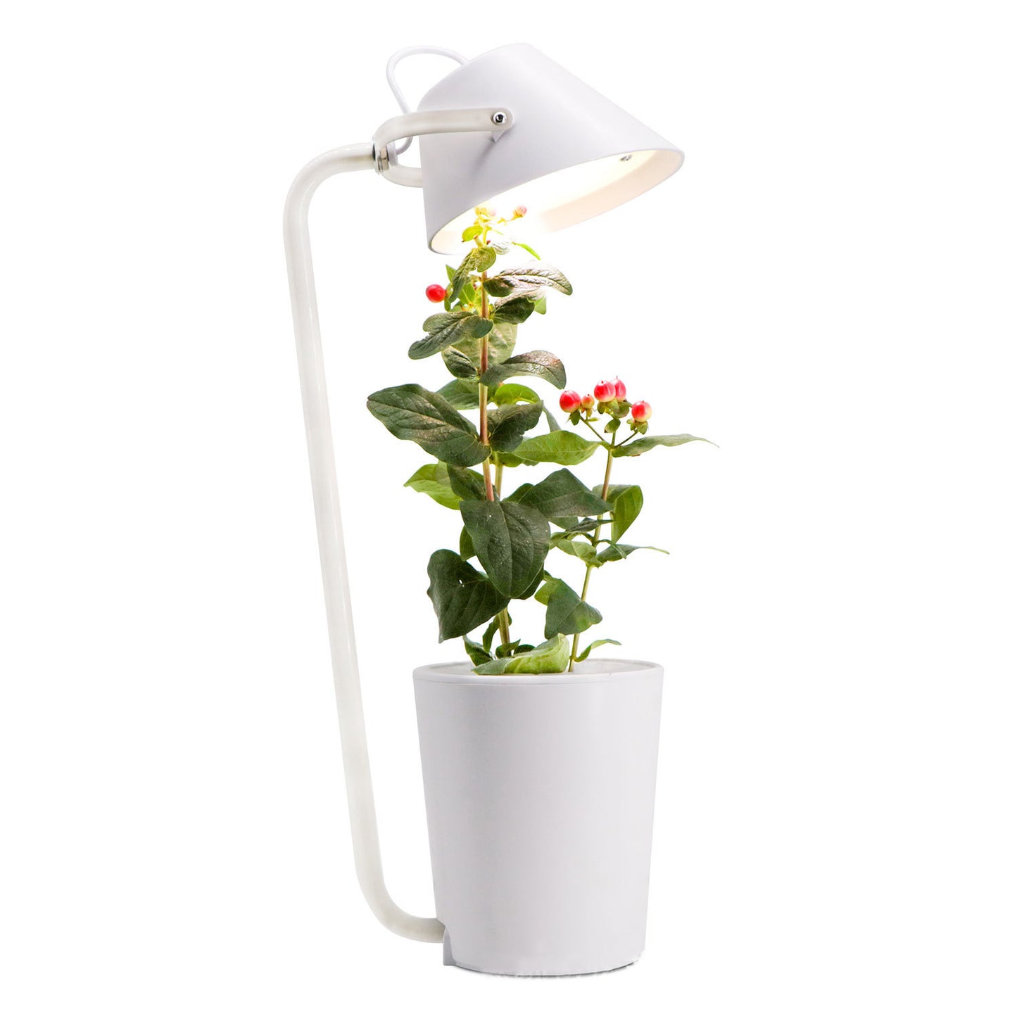 Soilless cultivation plant growth machine - ArtOm_farm™ MICROGREENS