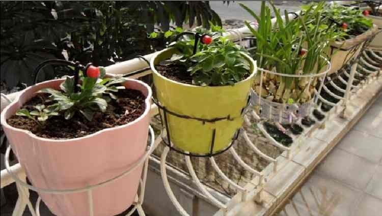 94-piece automatic watering kit for plants - ArtOm_farm™ MICROGREENS