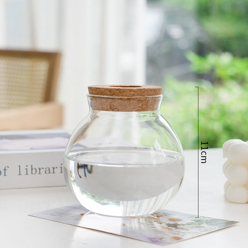 Transparent, Simple and Creative Hydroponic Glass Vase - ArtOm_farm™ MICROGREENS