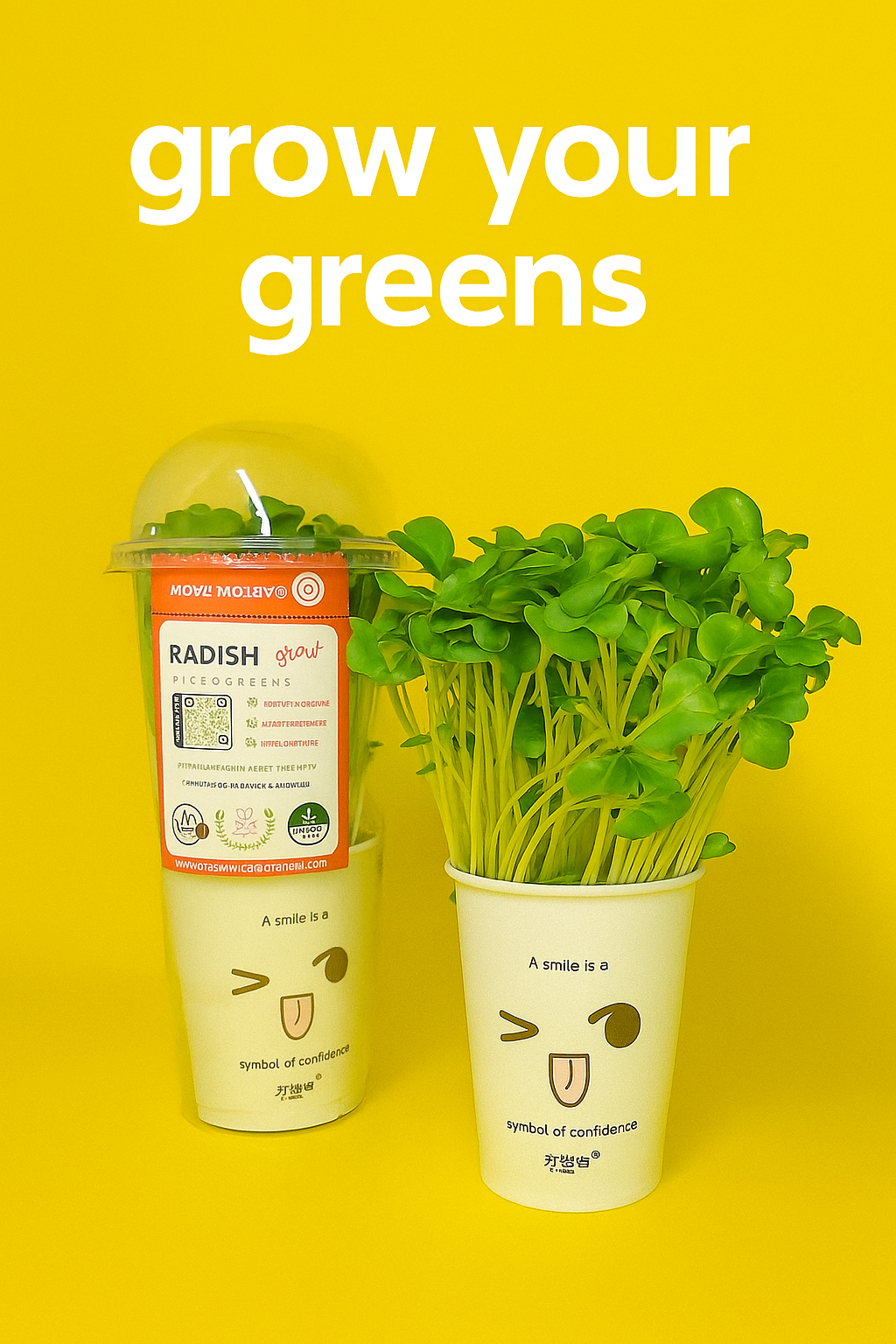 Radish Microgreens - អាហារស្រស់ និងជីវជាតិដ៏អស្ចារ្យ
