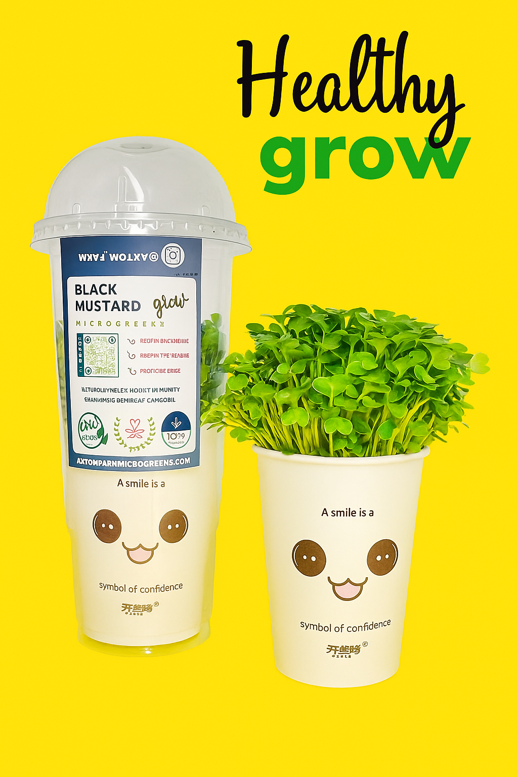 មីក្រូហ្គ្រីនខ្មៅ សម្រាប់ការដាំដុះនៅផ្ទះងាយស្រួល