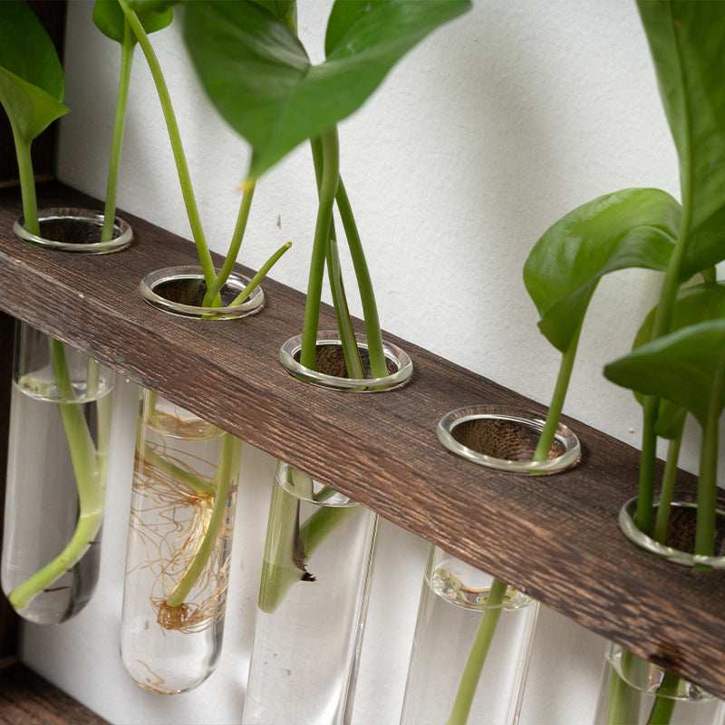 Wall Hanging Wooden Frame Glass Hydroponic Vase Creative Retro Bedroom Living Room Decoration - ArtOm_farm™ MICROGREENS