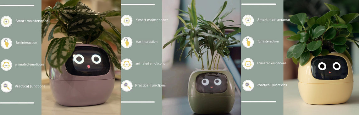 Smart Planter Solutions for Effortless Indoor Gardening