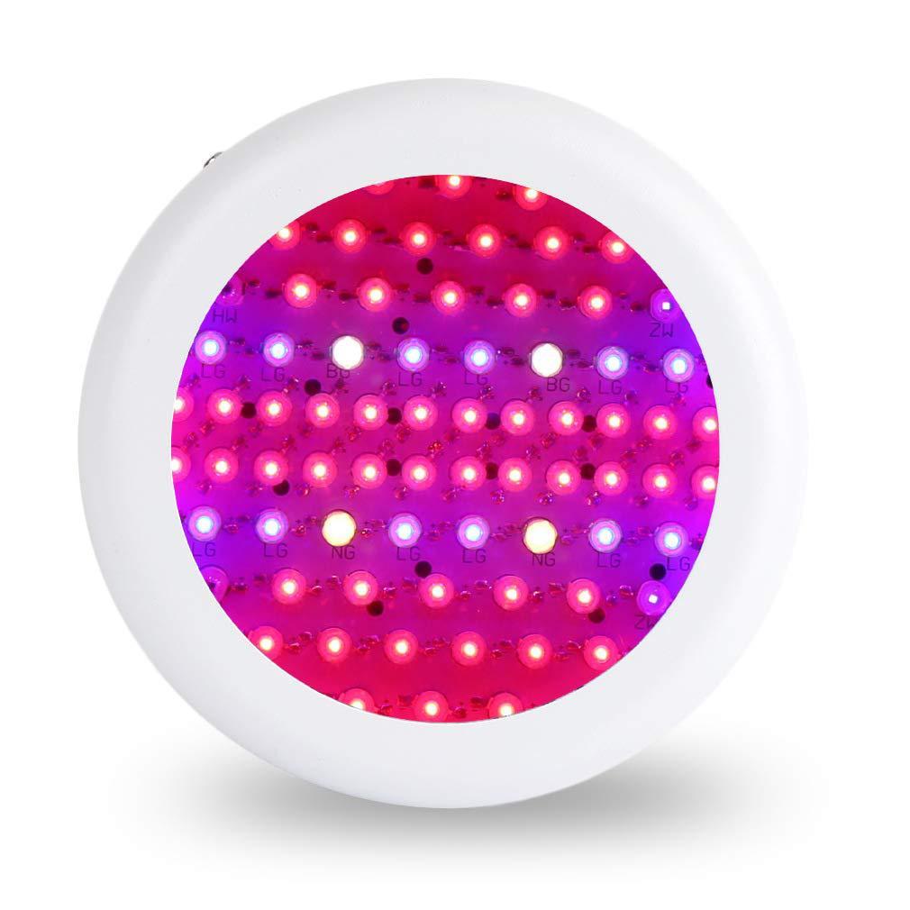 Quantum Board Smart Plant Growth Light - ArtOm_farm™ MICROGREENS