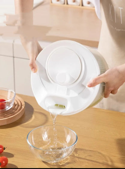 Vegetable Dehydrator For Household Use - ArtOm_farm™ MICROGREENS
