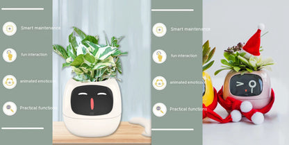 Smart Planter Solutions for Effortless Indoor Gardening