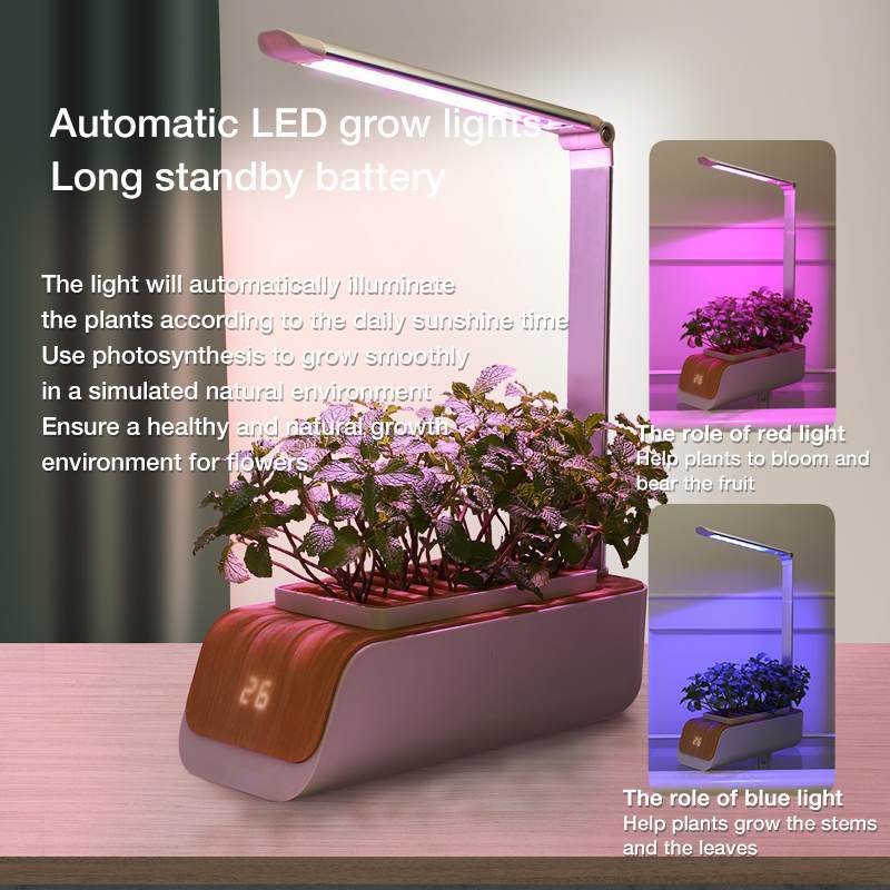 Desk Lamp Hydroponic Indoor Herb Garden Kit