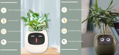 Smart Planter Solutions for Effortless Indoor Gardening