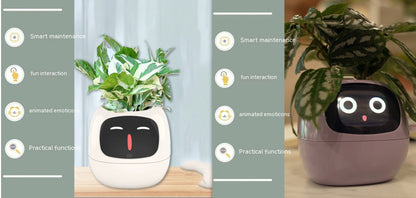 Smart Planter Solutions for Effortless Indoor Gardening