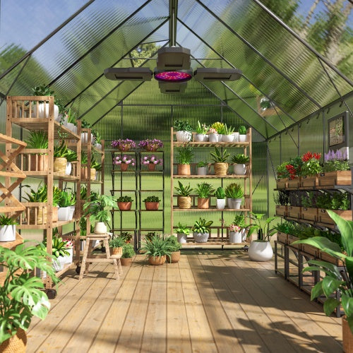 8x12 FT Greenhouse: Your Year-Round Growing Haven