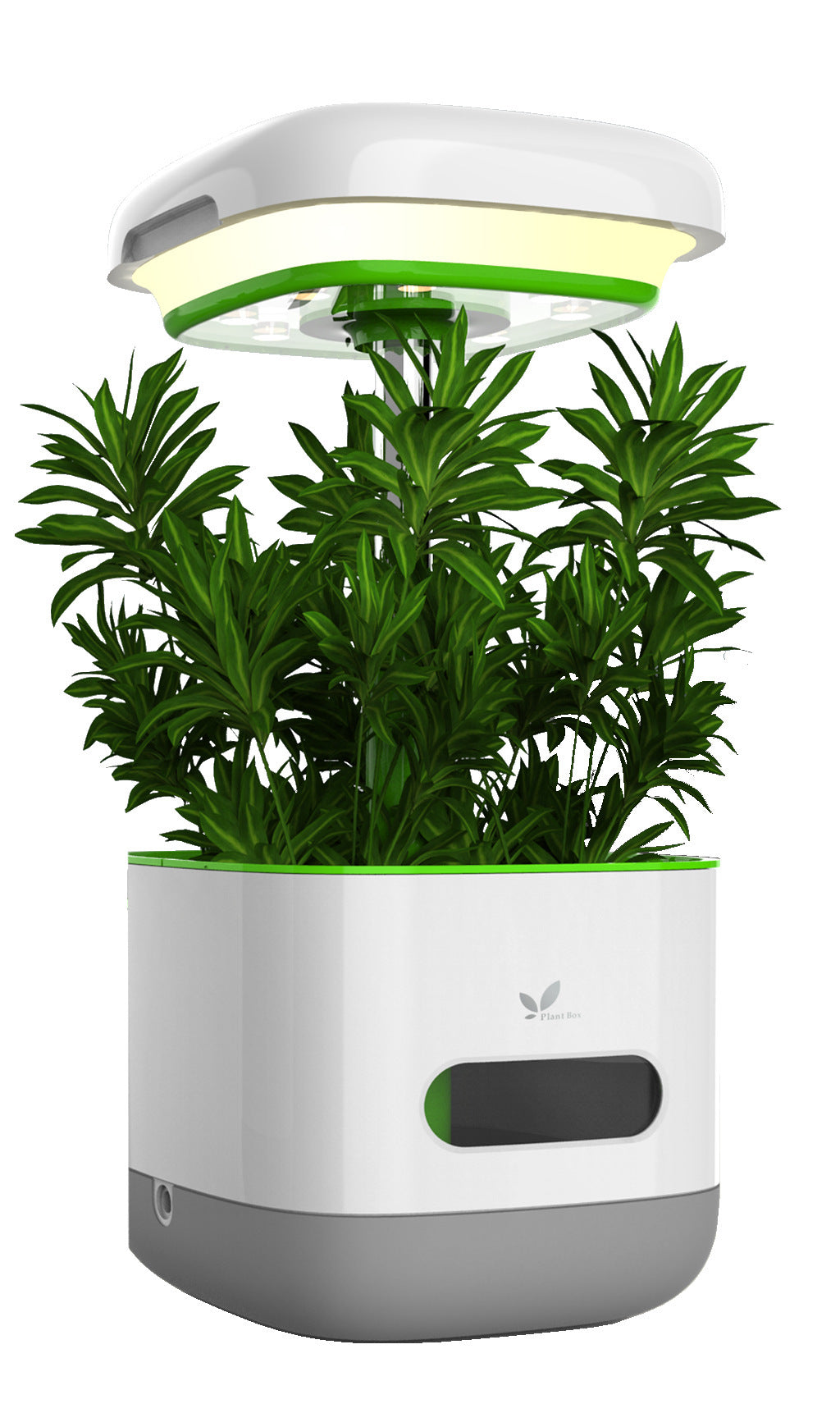 Hydroponic Vegetable Growing System