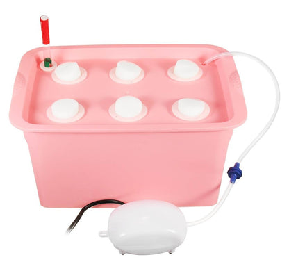 Vegetable water culture box - ArtOm_farm™ MICROGREENS