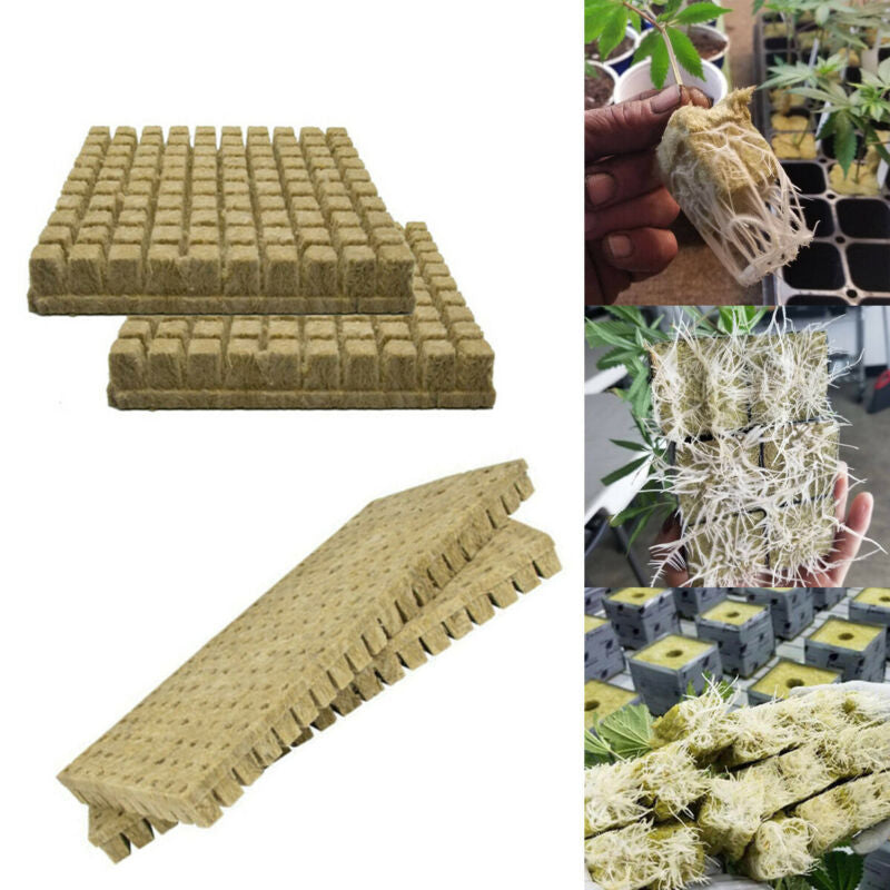 Horticultural products 25*25*40mm