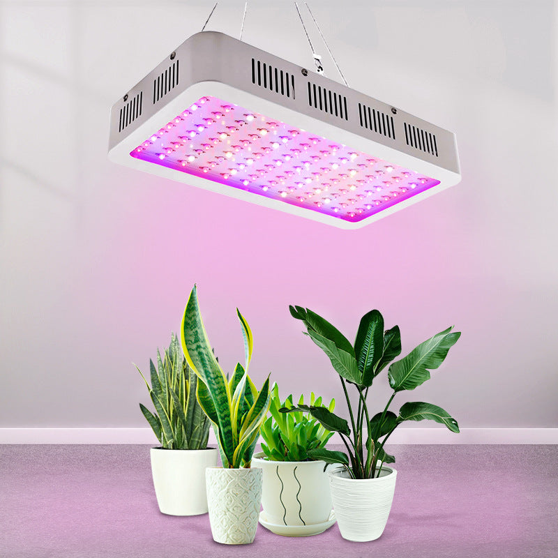 1200W LED Grow Light: Powerful Light for Your Garden! - ArtOm_farm™ MICROGREENS