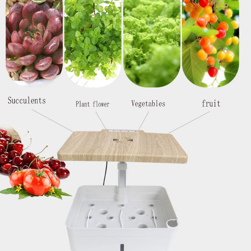 Automated Hydroponic Pot for growing vegetables