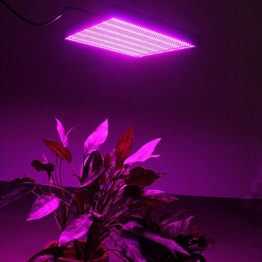 Plant growth light