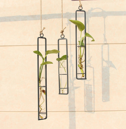 Wrought Iron Glass Hydroponic Vase - ArtOm_farm™ MICROGREENS