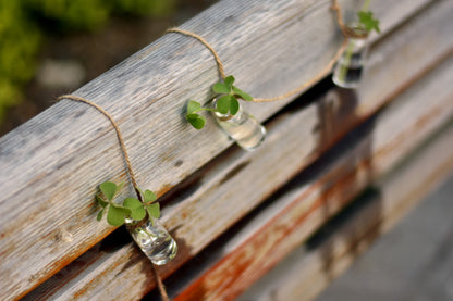 Sky Pendant Hydroponic Plant Glass Vase