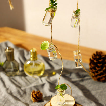 Sky Pendant Hydroponic Plant Glass Vase