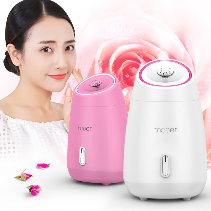 Maoer Fruit And Vegetable Face Steamer Hot Spray Home