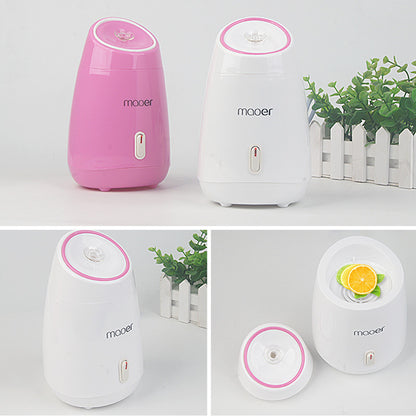 Maoer Fruit And Vegetable Face Steamer Hot Spray Home - ArtOm_farm™ MICROGREENS