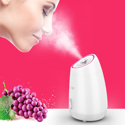 Maoer Fruit And Vegetable Face Steamer Hot Spray Home - ArtOm_farm™ MICROGREENS