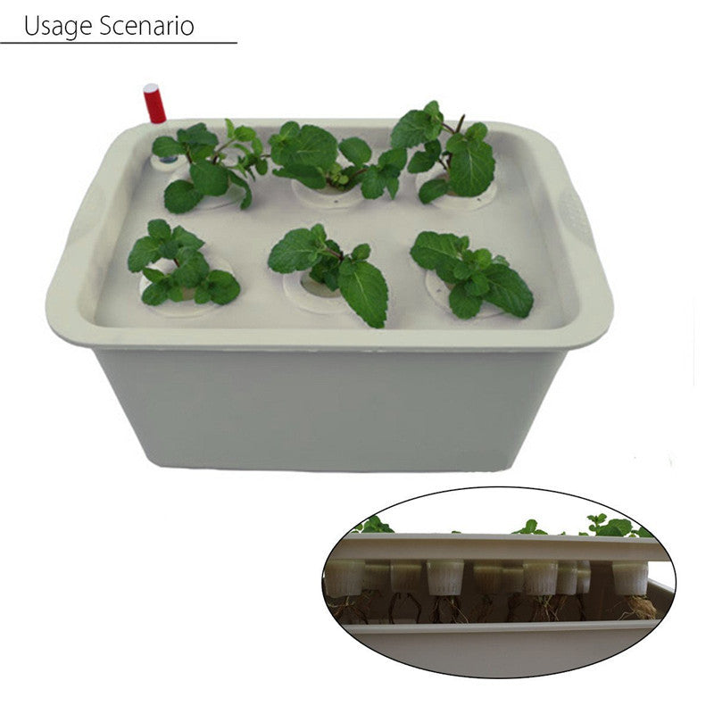 The 12 Seat Hydroponic System