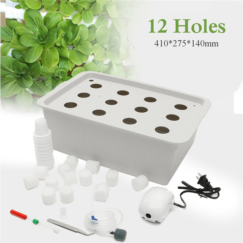 The 12 Seat Hydroponic System