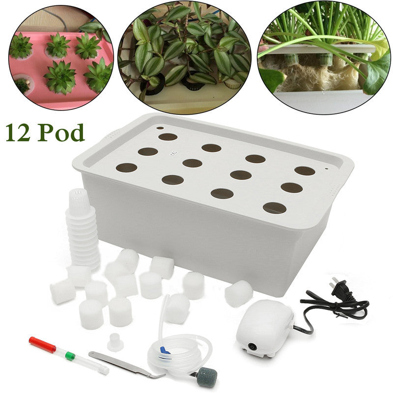 The 12 Seat Hydroponic System