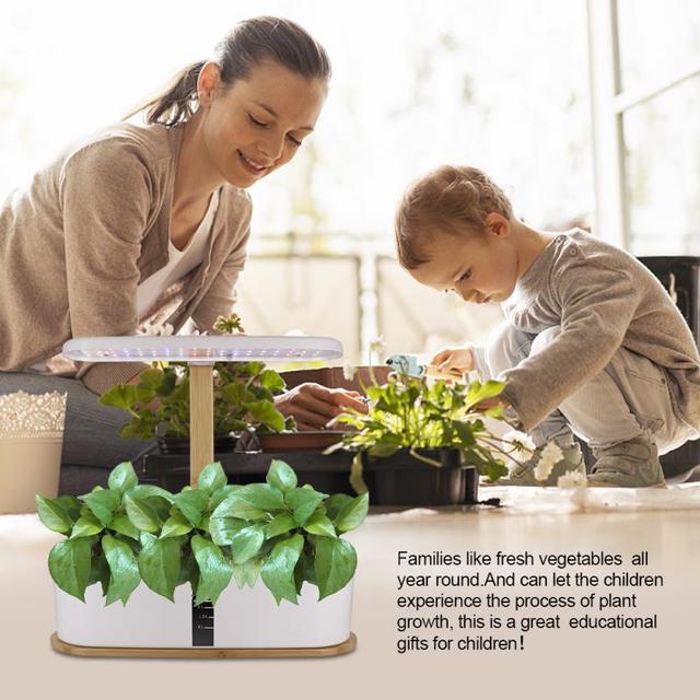 Hydroponic system for growing berries and vegetables